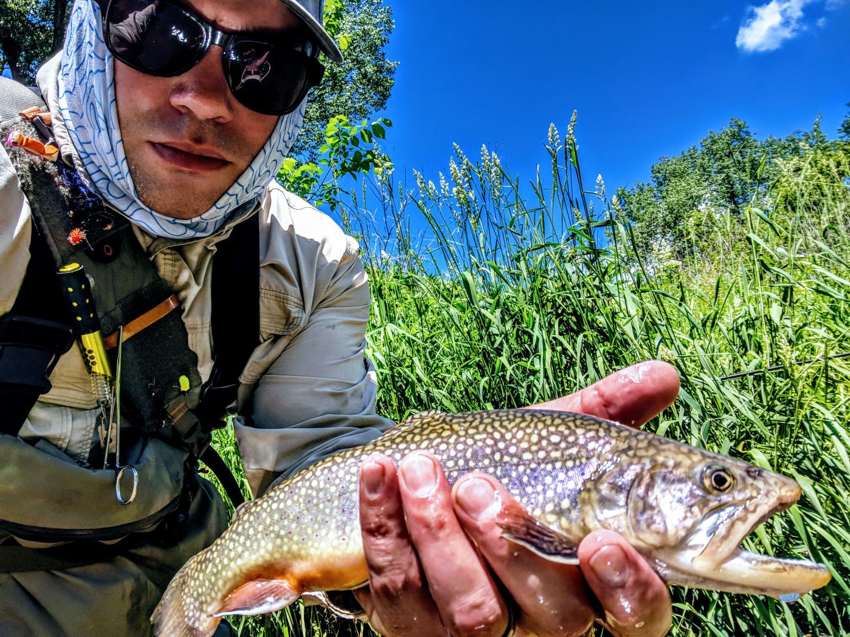 Quad-City Times Best Fish Photo Contest